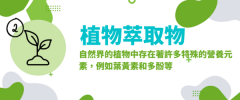 人参玛咖活力增强片
